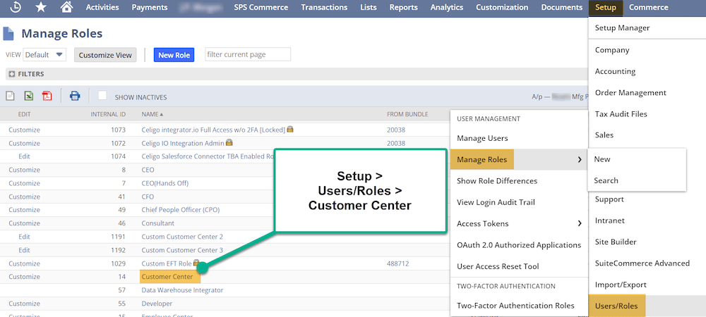 NetSuite Setup Users Roles Customer Center NetSuite