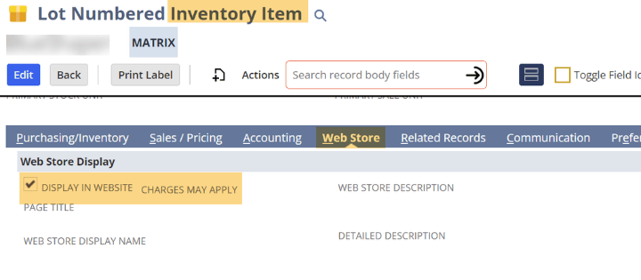 NetSuite Inventory Item Web Store Display in Website Setting