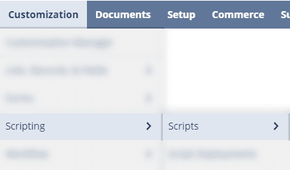 Customization dropdown with Scripting and Scripts shown below.