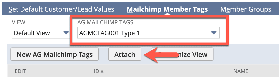 AG Mailchimp Tags value highlighted in red on the page.