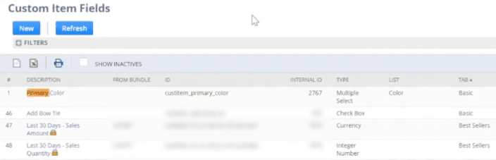 NetSuite Custom Item Field List