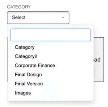 File Category NetSuite Document Management