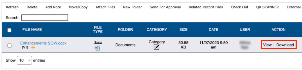 Document Details NetSuite File Management