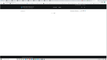 Items Invisible Upon Logging In SuiteCommerce