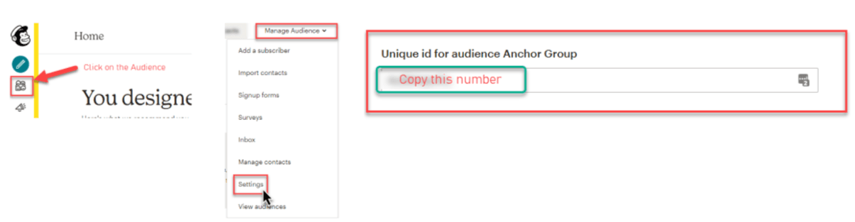 Unique ID for audience Anchor Group highlighted in red.