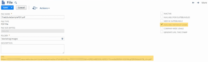 NetSuite File page with highlighted fields.