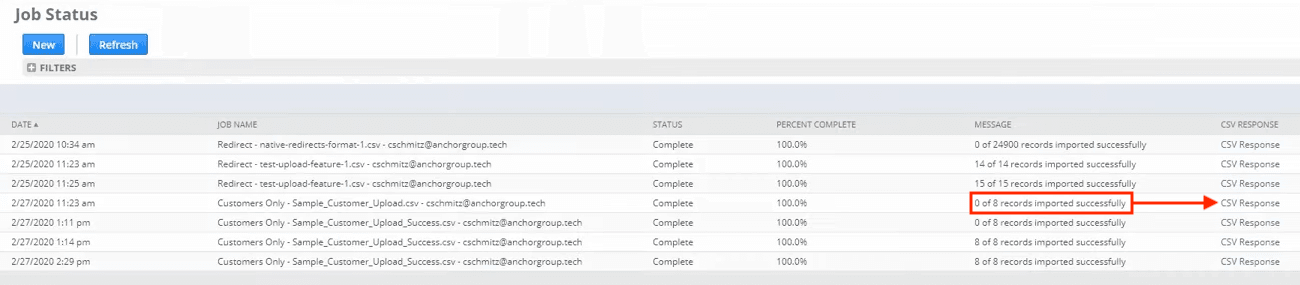 NetSuite Import Job Status Complete