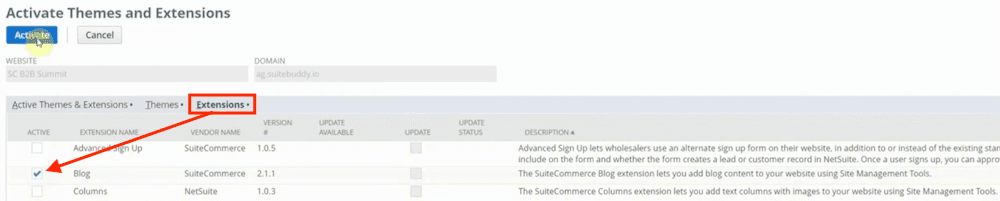 Activities Themes and Extensions page with the Extensions list highlighted and blog checked.