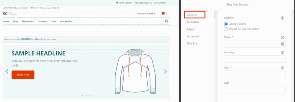 General blog post settings example display.