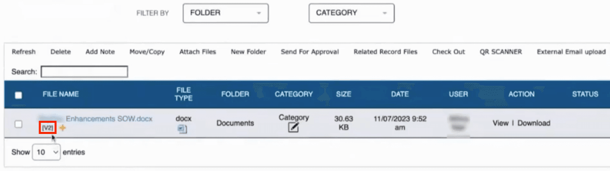 NetSuite page showing the file version highlighted.
