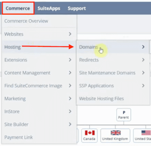 NetSuite navigation from hosting to domains page.