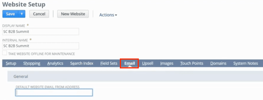 Website Setup page with the Email button highlighted.