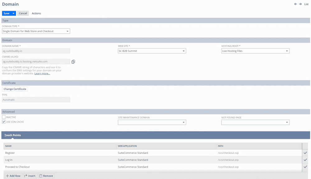 NetSuite Domain Record page.