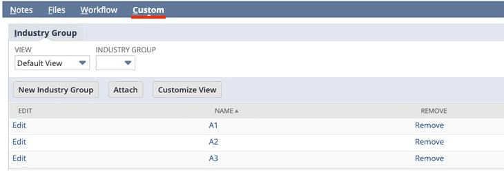 Industry Group page under the Custom tab on NetSuite.