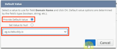 Domain field options shown in a popup window with highlighted values.