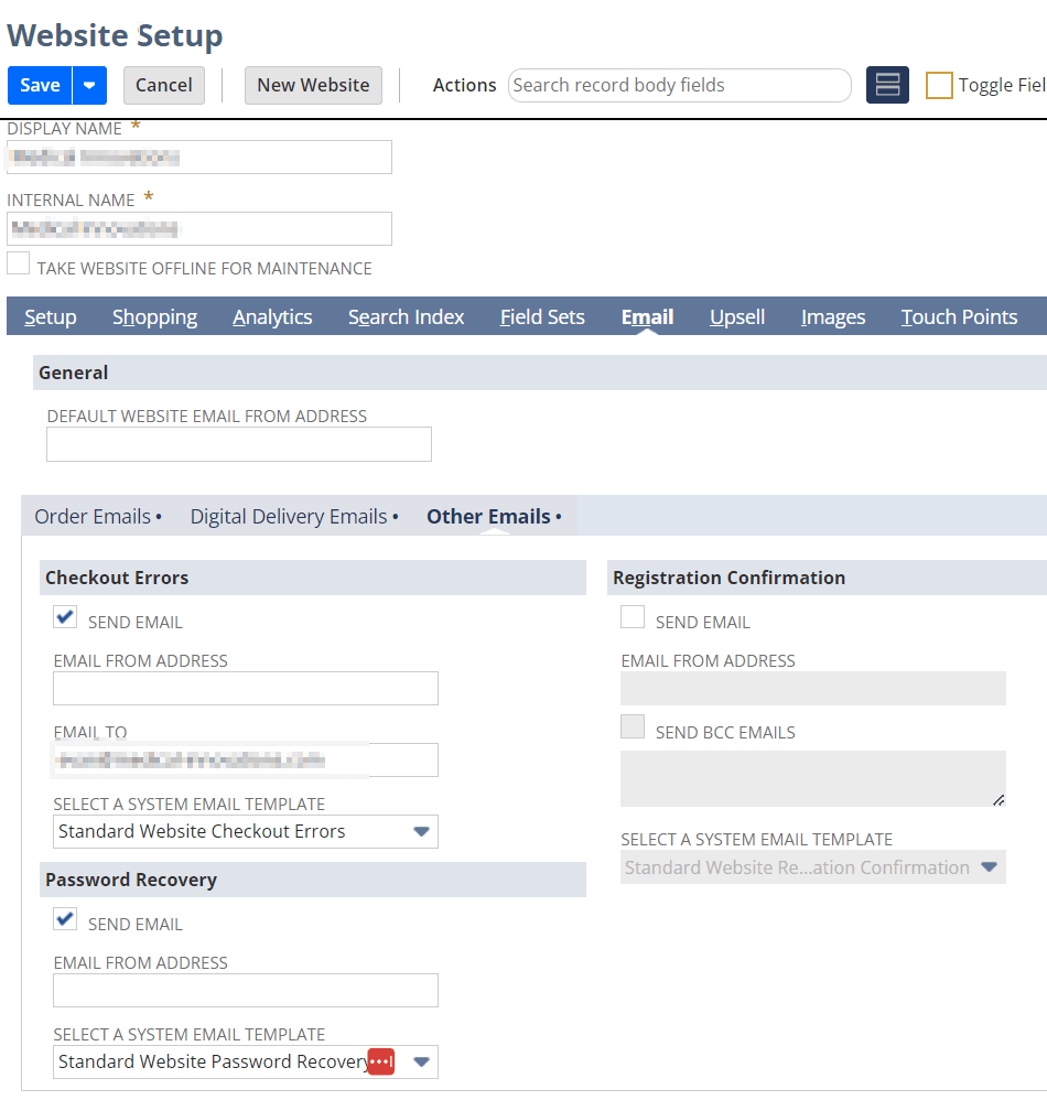 NetSuite Website Setup page with steps to record email.