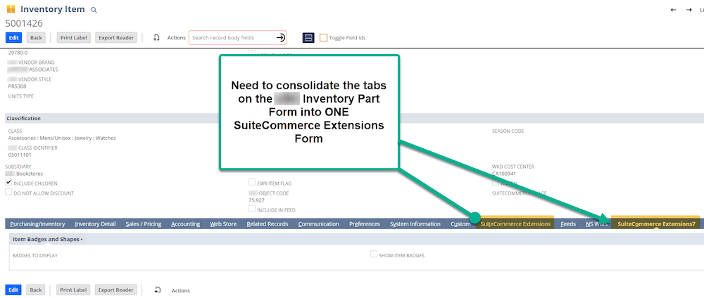 NetSuite Inventory Item Record SuiteCommerce Extension Duplicate Tabs