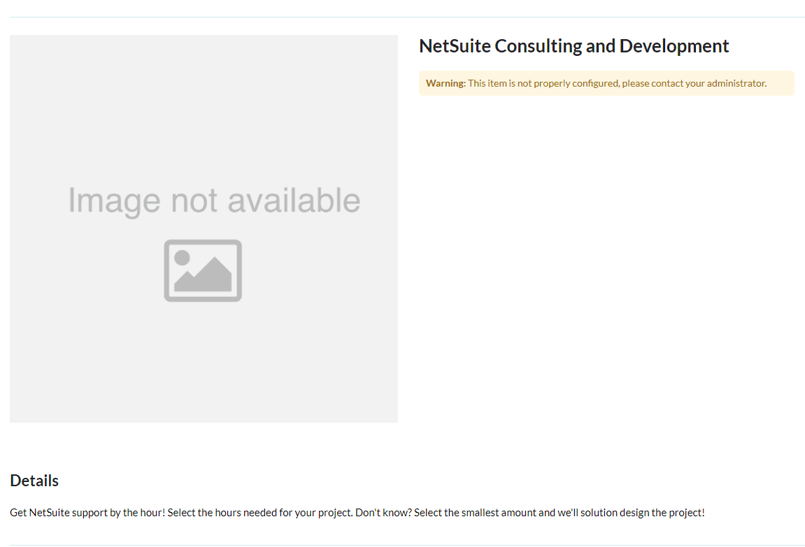NetSuite Consulting and Development page with an error item to fix.