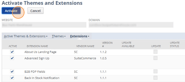 Activate Themes and Extensions NetSuite
