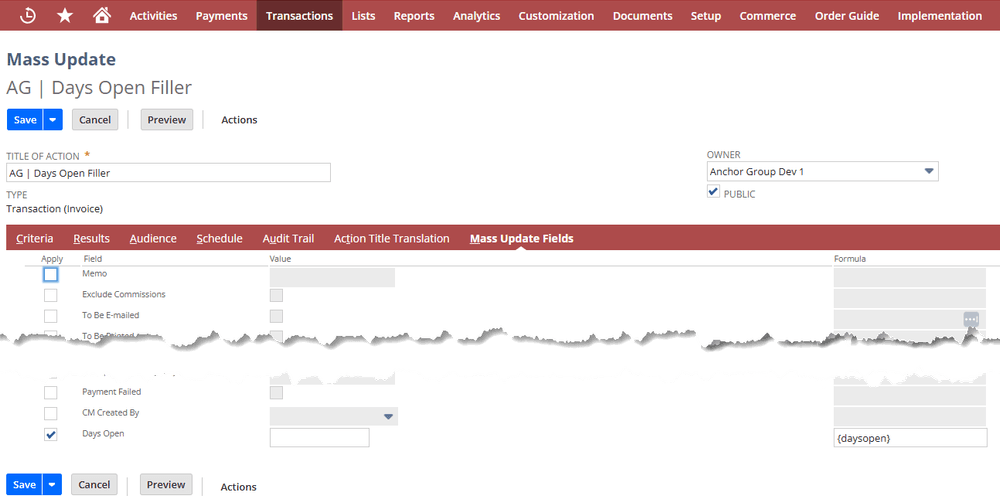 NetSuite mass update days open fields.