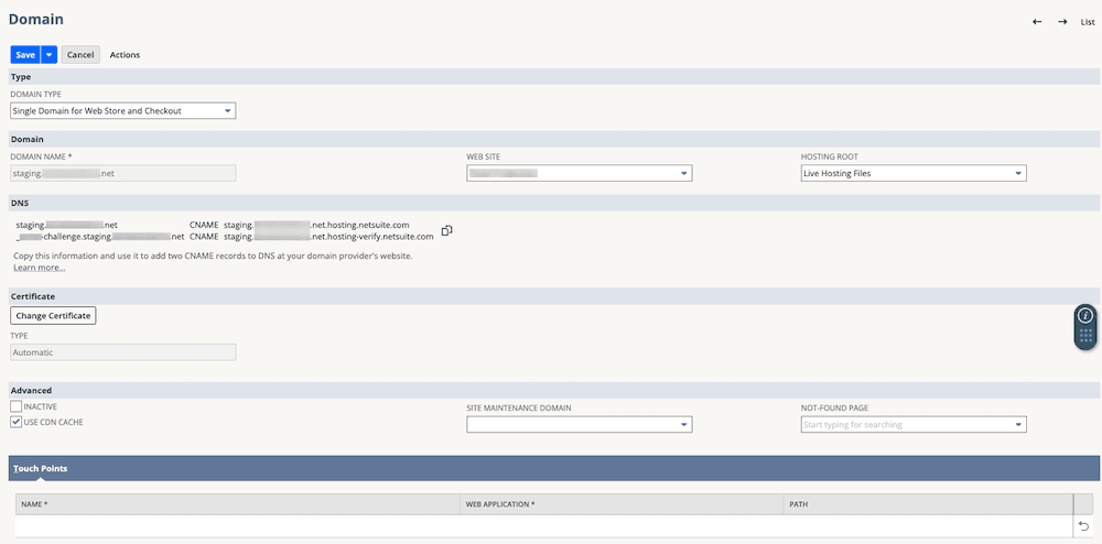 Domain record in NetSuite.