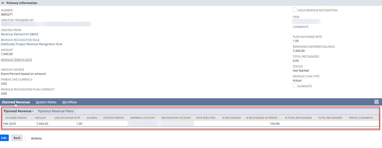 NetSuite planned revenue page.