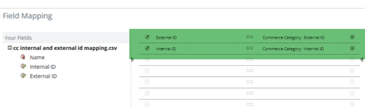NetSuite import field for mapping categories.