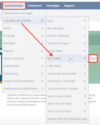 NetSuite navigation customization lists record fields.