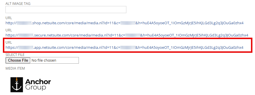 NetSuite image app URL example.