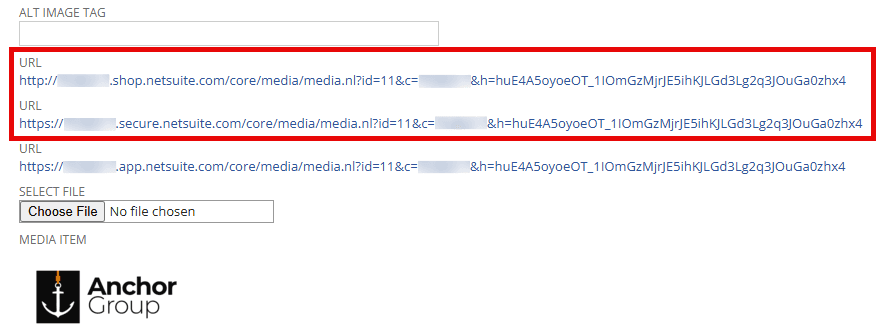 NetSuite URLs example secure.