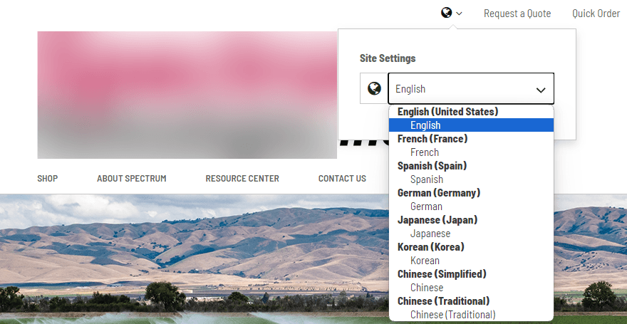NetSuite site settings with the languages tab set to default.
