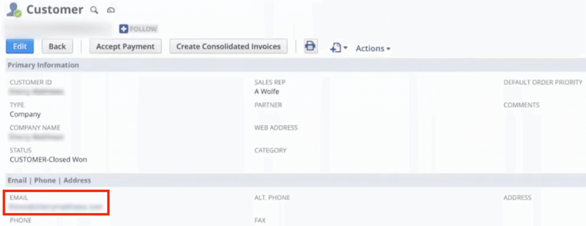 NetSuite customer email field highlighted.