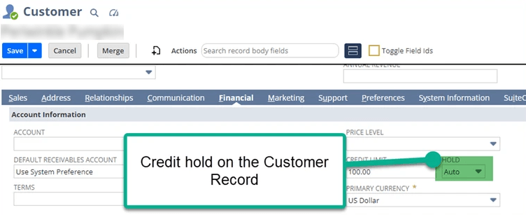 NetSuite customer record credit hold.