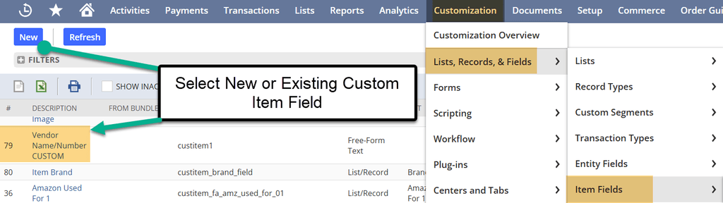 NetSuite customization lists records fields item.