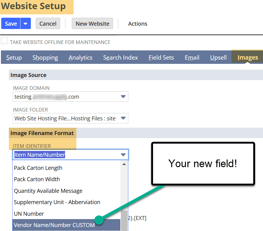 NetSuite website setup images filename form.