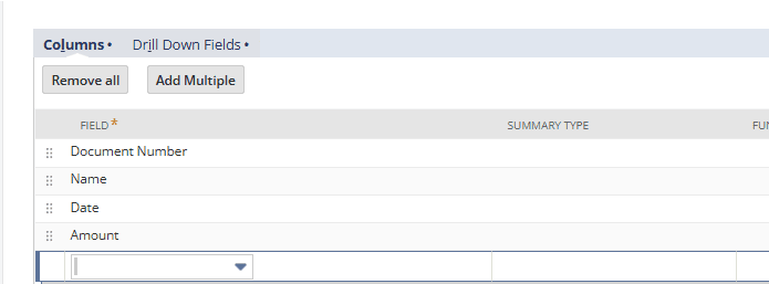 NetSuite saved search columns.