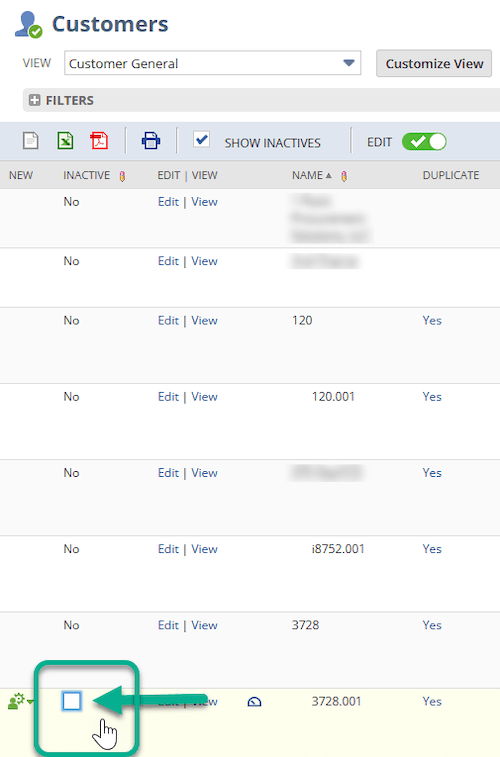 NetSuite customer list inactive checkbox.