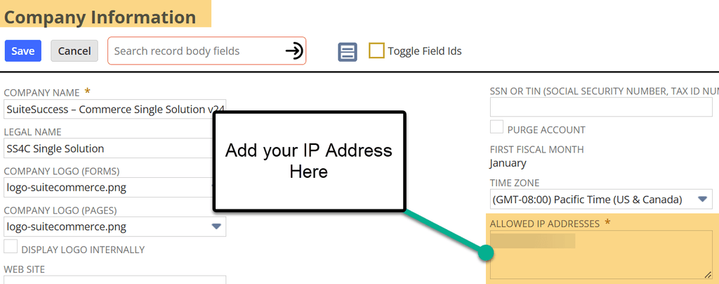 NetSuite company information allowed IP addresses.