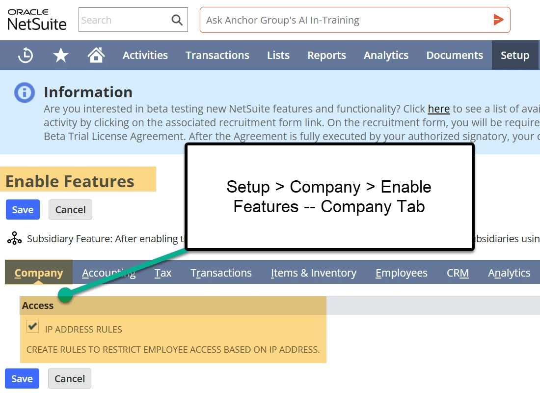 NetSuite enable features company access IP addresses.
