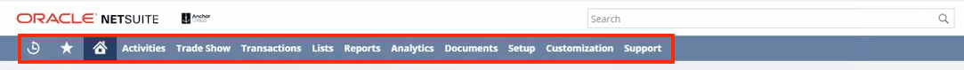 NetSuite center tabbed page navigation.
