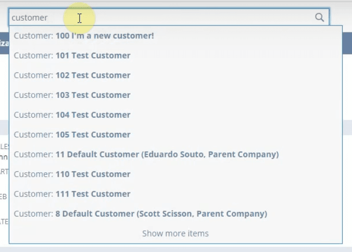 NetSuite search bar auto suggest.
