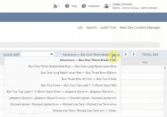 NetSuite dropdown list navigation expanded.