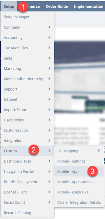 Setup custom mobile app with three steps indicated.