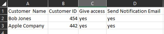 Customer access CSV template.