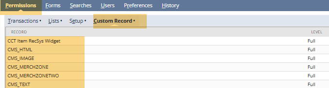 NetSuite permissions custom record.