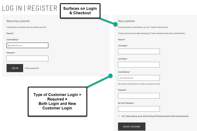 SuiteCommerce surfaces login checkout type customer.