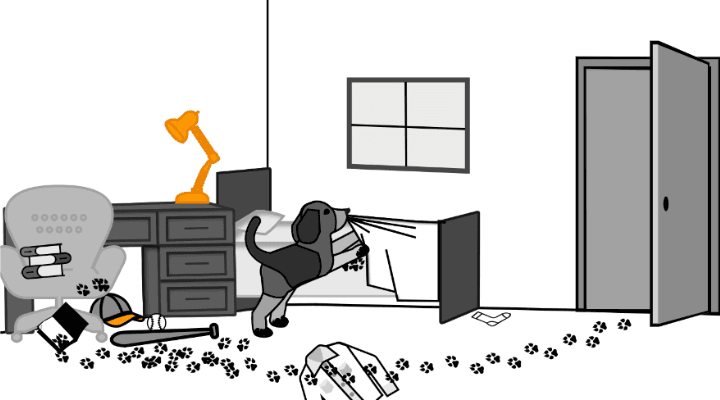 An image of a room in disarray with a window and door.