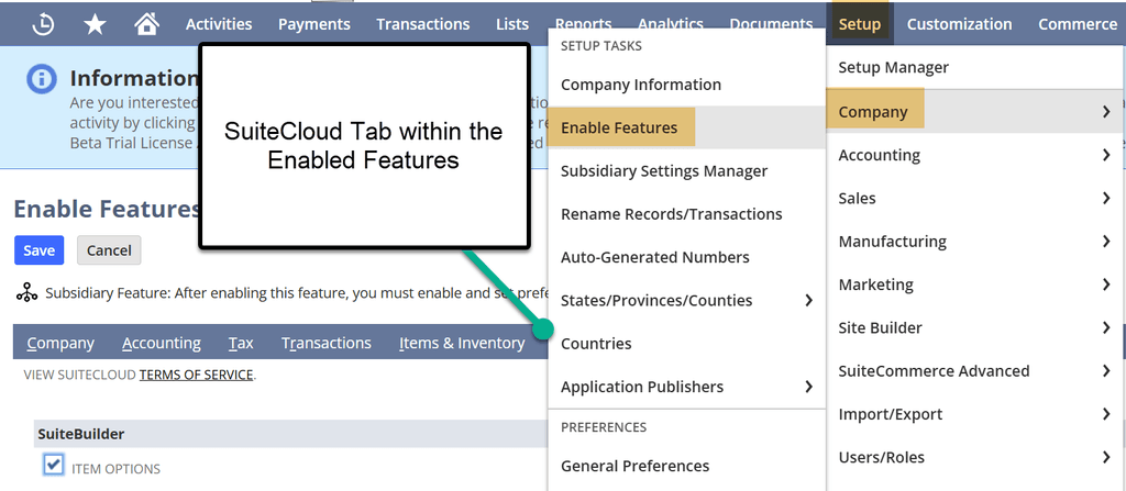 NetSuite setup company enable features SuiteCloud tab.