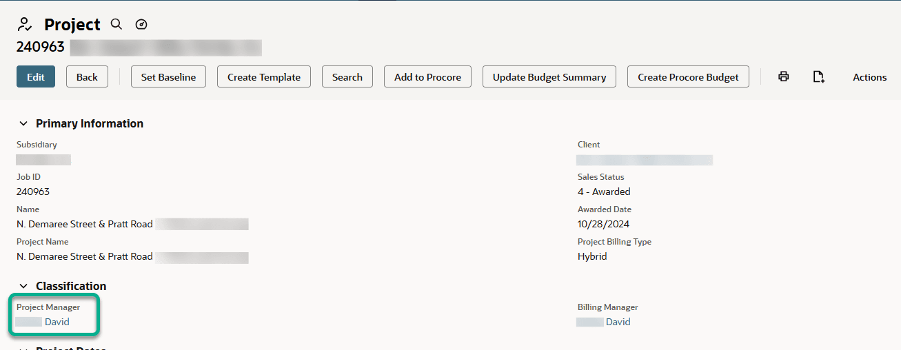 NetSuite project primary information classification project manager.
