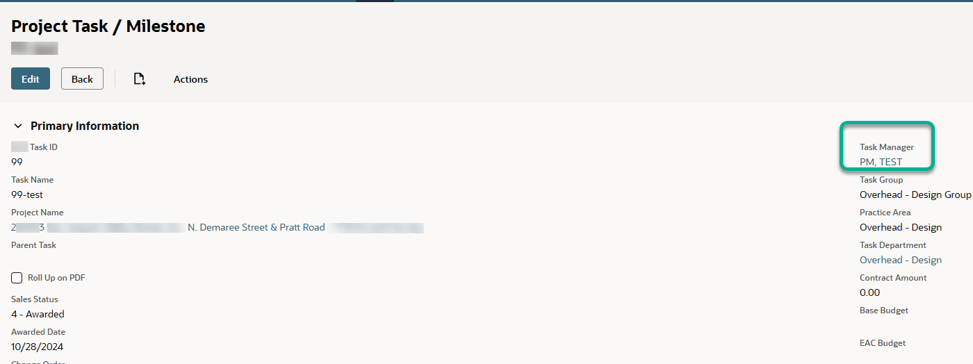 NetSuite project task milestone task manager test example.